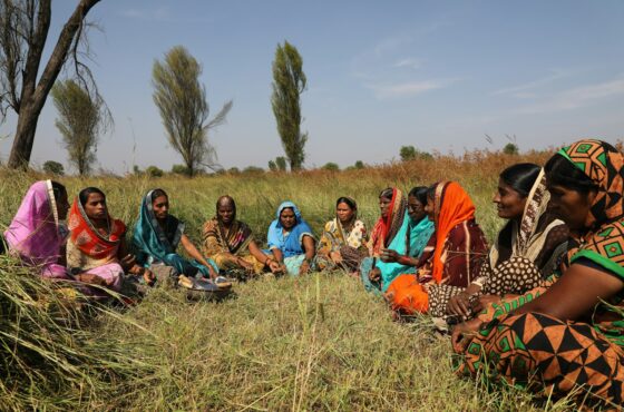 people sitting on grass field during daytime