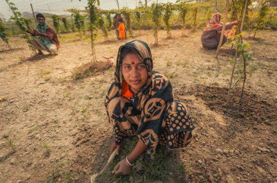 Women tending to plants in a field