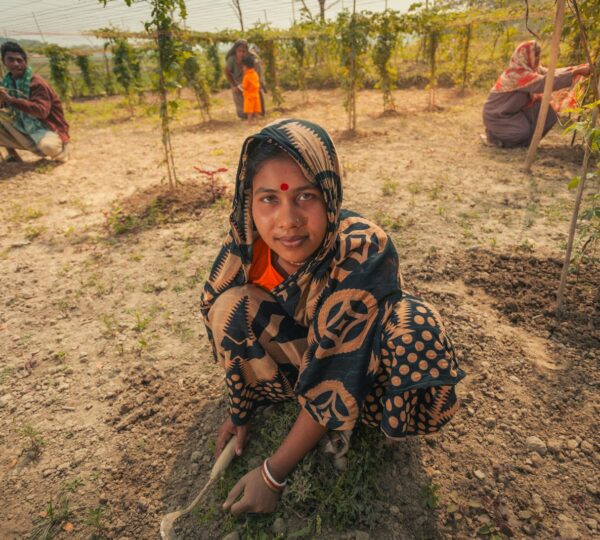 Women tending to plants in a field