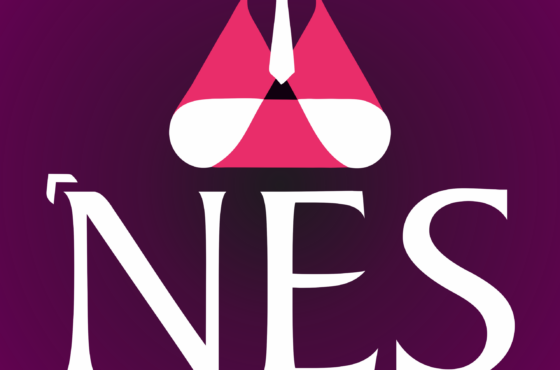 Nano-Enterprise Support (NES): Helping Youth, Women and Farmers Start Small Businesses