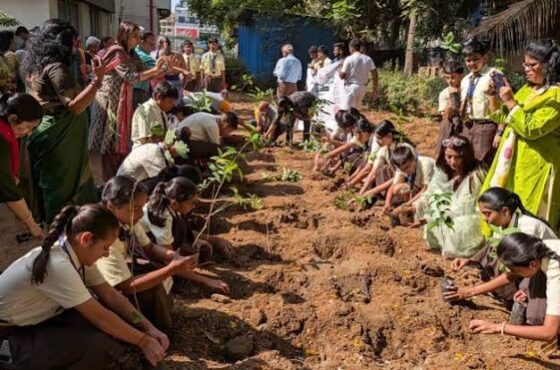 Volunteers planting trees at a Cosmo People Foundation drive